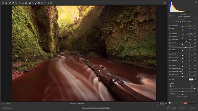 Tutorial Camera RAW paso a paso. смотреть онлайн