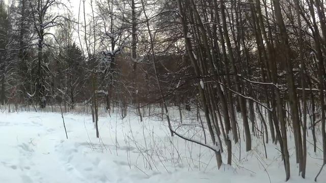 Девушка узнала, что парень изменил ей с богатой подругой - позже жизнь заставит его кусать локти... смотреть онлайн