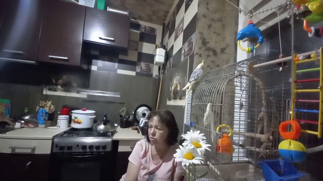 Погода не погода а на работу надо.🌧️⛈️🙄 смотреть онлайн