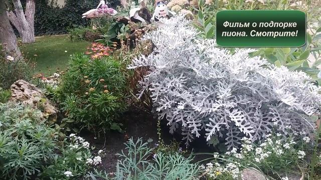 Дизайн двора элементами декора и фитодекора. Красивое оформление двора ! смотреть онлайн