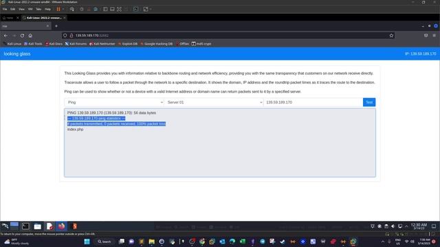 Command Injection & SQL Injection | HackTheBox Looking glass & Sanitize | OWASP TOP 10 смотреть онлайн