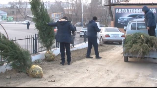 ХУҶАНД: ДАРАХТОНИ 300 СОЛА ШИНОНДА ШУД смотреть онлайн