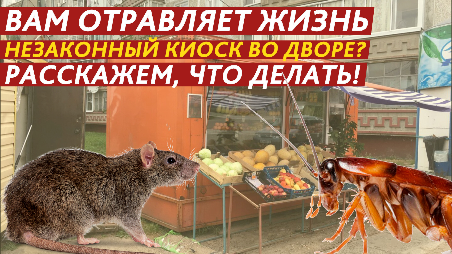 Вам отравляет жизнь незаконный киоск во дворе? Расскажем, что делать! смотреть онлайн