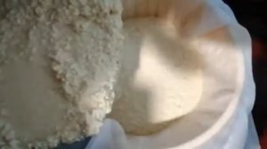 Мастер-класс: приготовление курута (ҡорота)