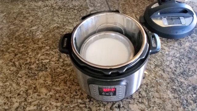 Yogurt in Instant Pot | Quick & Easy |Homemade Yogurt смотреть онлайн