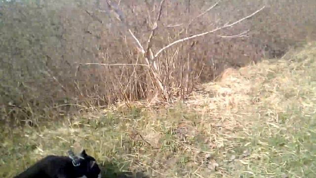 После колеса Боря идёт на озеро смотреть онлайн