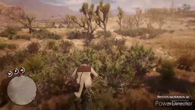 ОХОТА/ЛЕГЕНДАРНАЯ ПУМА/ RDR II смотреть онлайн