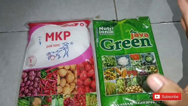 Mengulas pencampuran pupuk mkp dan pupuk nutrisi ionik java green смотреть онлайн