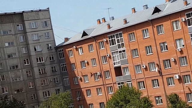 Коршуны ловят птенца стрижа, естественный отбор смотреть онлайн