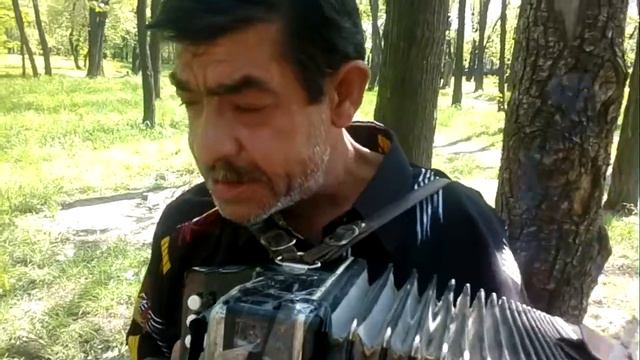 Гармонист смотреть онлайн