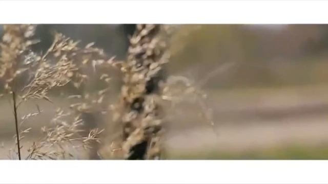 День столицы   Нурсултан