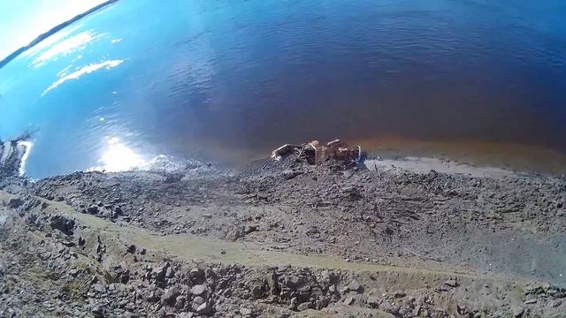 Нашёл останки МАМОНТОВ на берегу Иртыша. ХМАО. смотреть онлайн