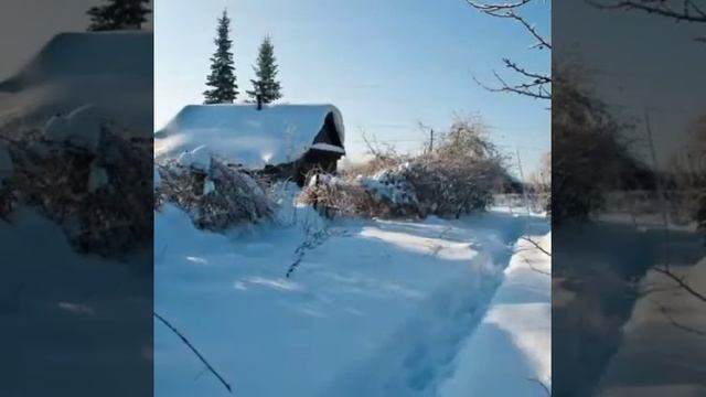 зимний вечер очень линный смотреть онлайн