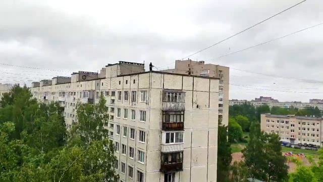 Спецназ взял штурмом квартиру, собака от страха выпрыгнула из окна 5 этажа. Ей очень нужен дом. смотреть онлайн