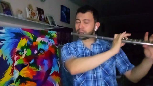 Chemtrails Over The Country Club - Cover flute - LDR смотреть онлайн