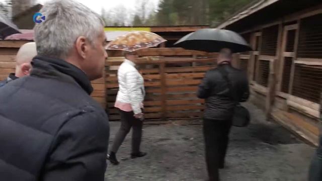 Медвежьегорский муниципальный приют будет искать новых хозяев для своих животных смотреть онлайн