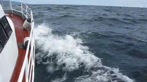 МСП 111 "ПОЛЮС"