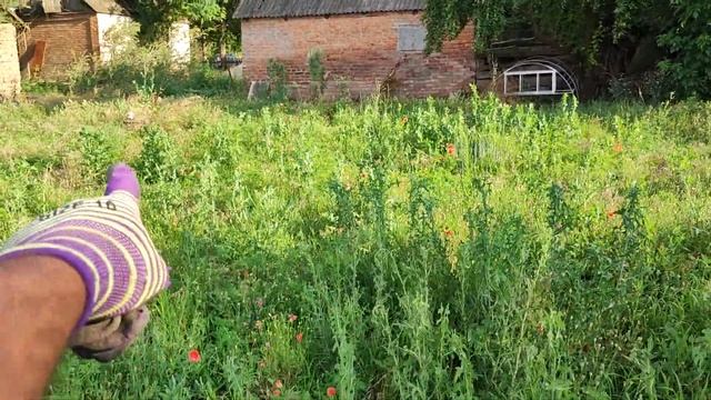 Наконец-то, био бассейн себе! смотреть онлайн