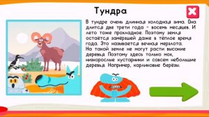 ПРИРОДНЫЕ ЗОНЫ с Бодо Бородо| ЗВЕРЮШКИ | УЧИМСЯ