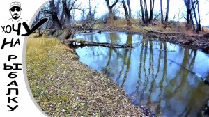 Калинов мост. Закрытие щучьего сезона. Смерть Riprizer