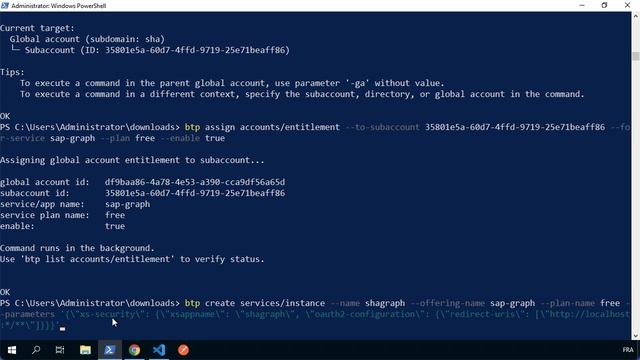 SAP Graph: Admin - BTP CLI смотреть онлайн
