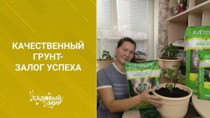 Качественный грунт для рассады - залог успеха будущего урожая