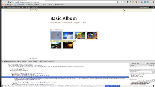 Custom CSS in NextGEN Gallery смотреть онлайн