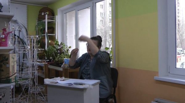 Агротехника лука