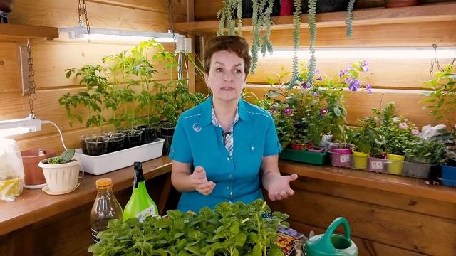 Апрель - дела садовые | Что делать в апреле в саду смотреть онлайн