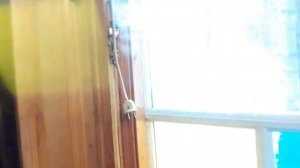 Закрытое крыльцо. Нужно ли оно?