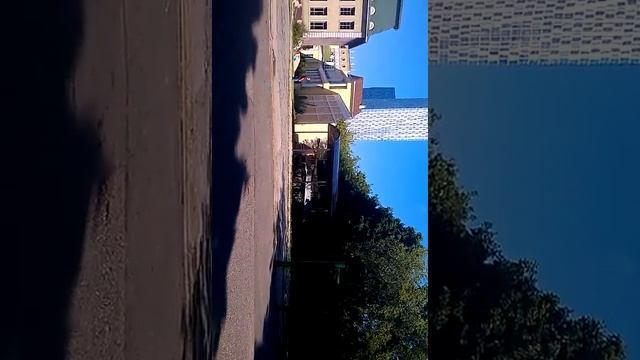 белый тигр смотреть онлайн