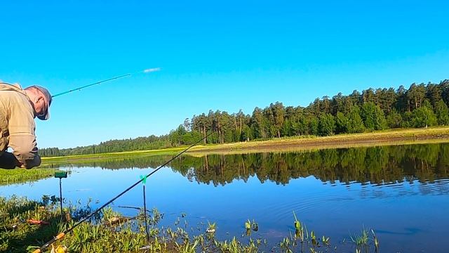 Плотва атакует фидер на реке смотреть онлайн