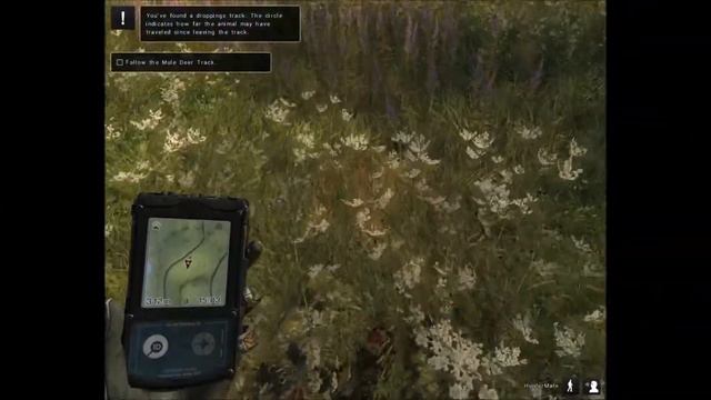 theHunter: Completing the Mule Deer Tutorials смотреть онлайн