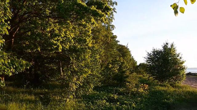 #Сестрорецк #Закат #Природа 2.06.2021 ч.3 смотреть онлайн