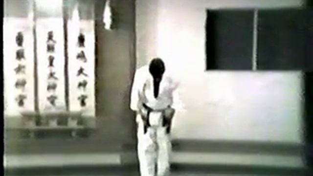 Киокусинкай и Шотокай - Тайкиока Шодан смотреть онлайн