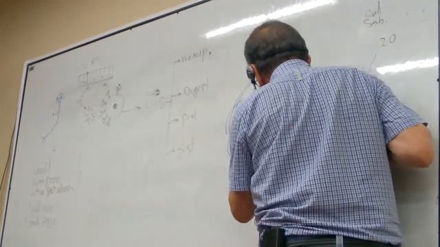 Reacción de Hipersensibilidad Tipo (I-II-III-IV).parte 1 смотреть онлайн