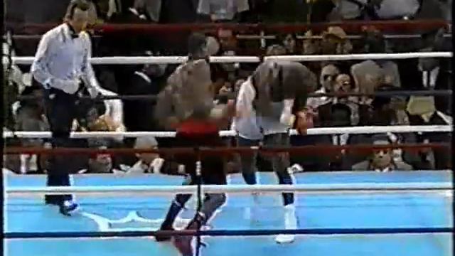 James Buster Douglas-Oliver McCall Highlights Boxing Video