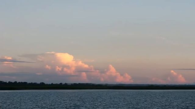 Природа дельты реки Дон смотреть онлайн