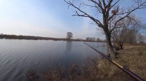 Весенняя плотва на поплавочную удочку