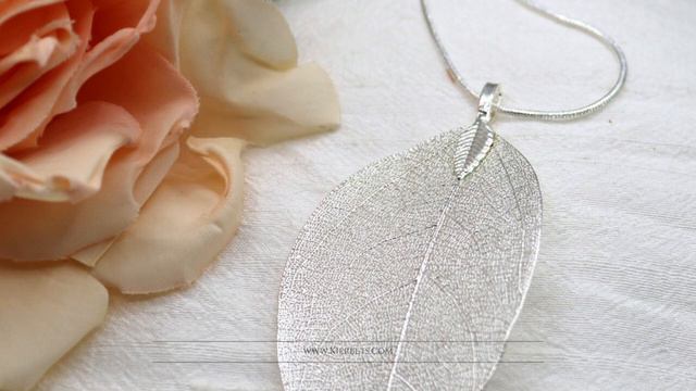 Magnolia Leaves смотреть онлайн