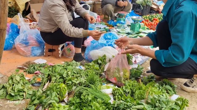 Full Video, Harvest, Tangerine, Grapefruit, Ginger, Star Fruit, Go To The Market