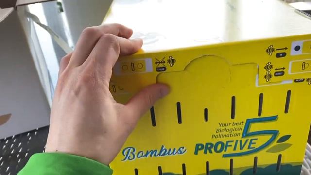 Улей Bombus PRO5 - Шмели для опыления в защищенном грунте смотреть онлайн