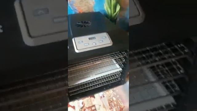 Белевская пастила в бесподобном дегидраторе Kitfort КТ-1906!!! смотреть онлайн