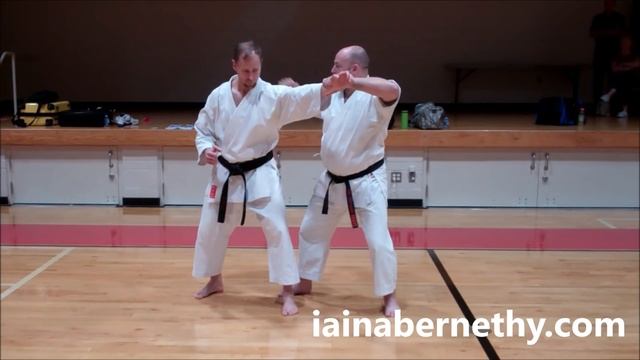 Practical Kata Bunkai: Jion Bunkai and Drills смотреть онлайн