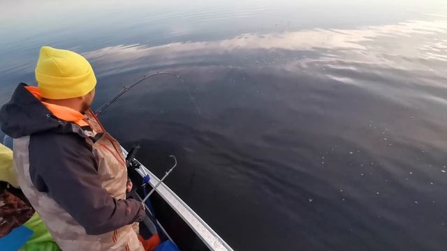 Продажные блогеры и сом Гаврюща - московское море - иваньковское водохранилище - квок смотреть онлайн