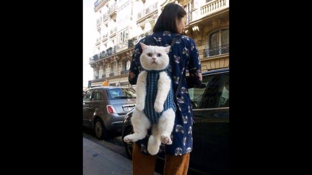 Worst Backpacks Ever! смотреть онлайн