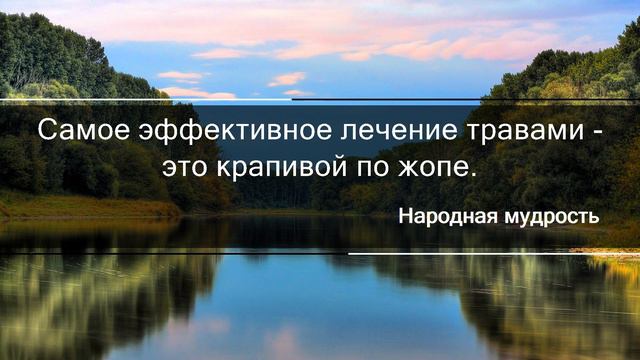 😍23.08.2022. Смешные цитаты, афоризмы и высказывания😍 смотреть онлайн