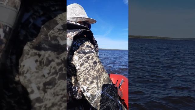 Рыбалка на Оби смотреть онлайн