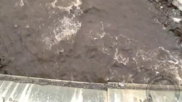 Сплав по реке Улус-Черга. Горный Алтай. [Rafting On The Cherga-river. Altai Mountains]