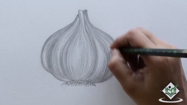 How to Sketch a Garlic смотреть онлайн